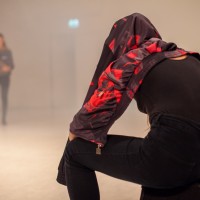 The Performance Formerly Known as Performance or Camouflaging Kelly (2014) © Lisa Vereertbrugghen